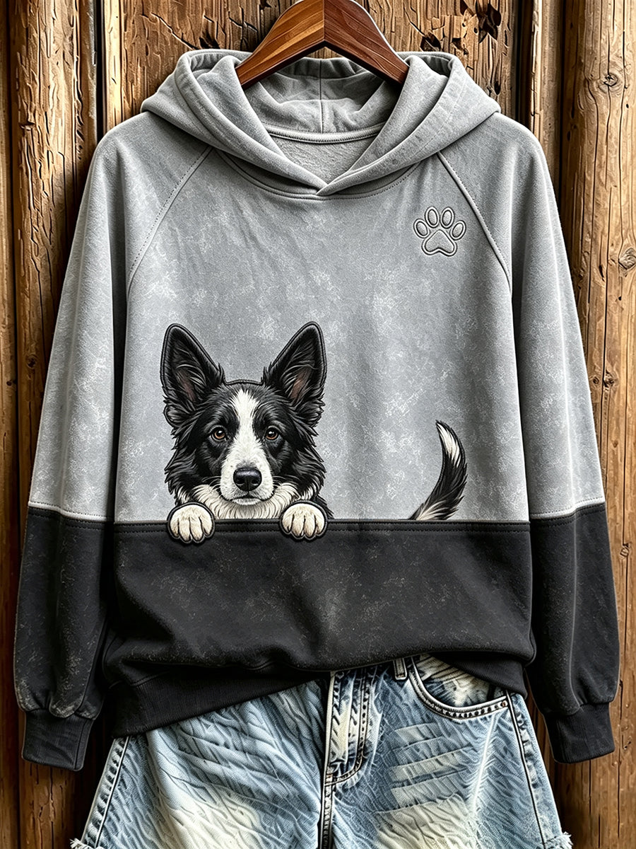 Naisten piirtyvä Border Collie- ja tassunjälkikuviollinen kontrastivärinen mukava collegepaita