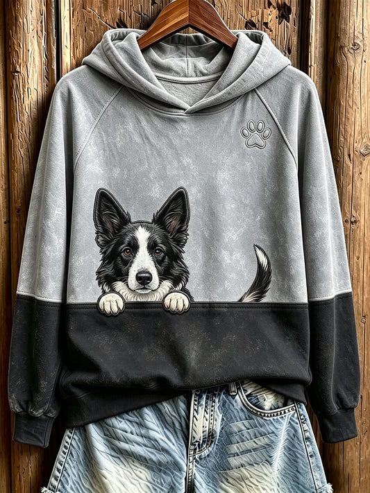 Naisten piirtyvä Border Collie- ja tassunjälkikuviollinen kontrastivärinen mukava collegepaita
